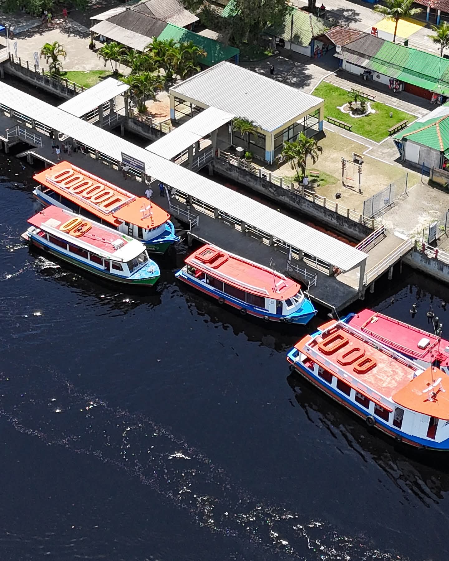 Tartaruga de Pontal - Ilha do Mel 