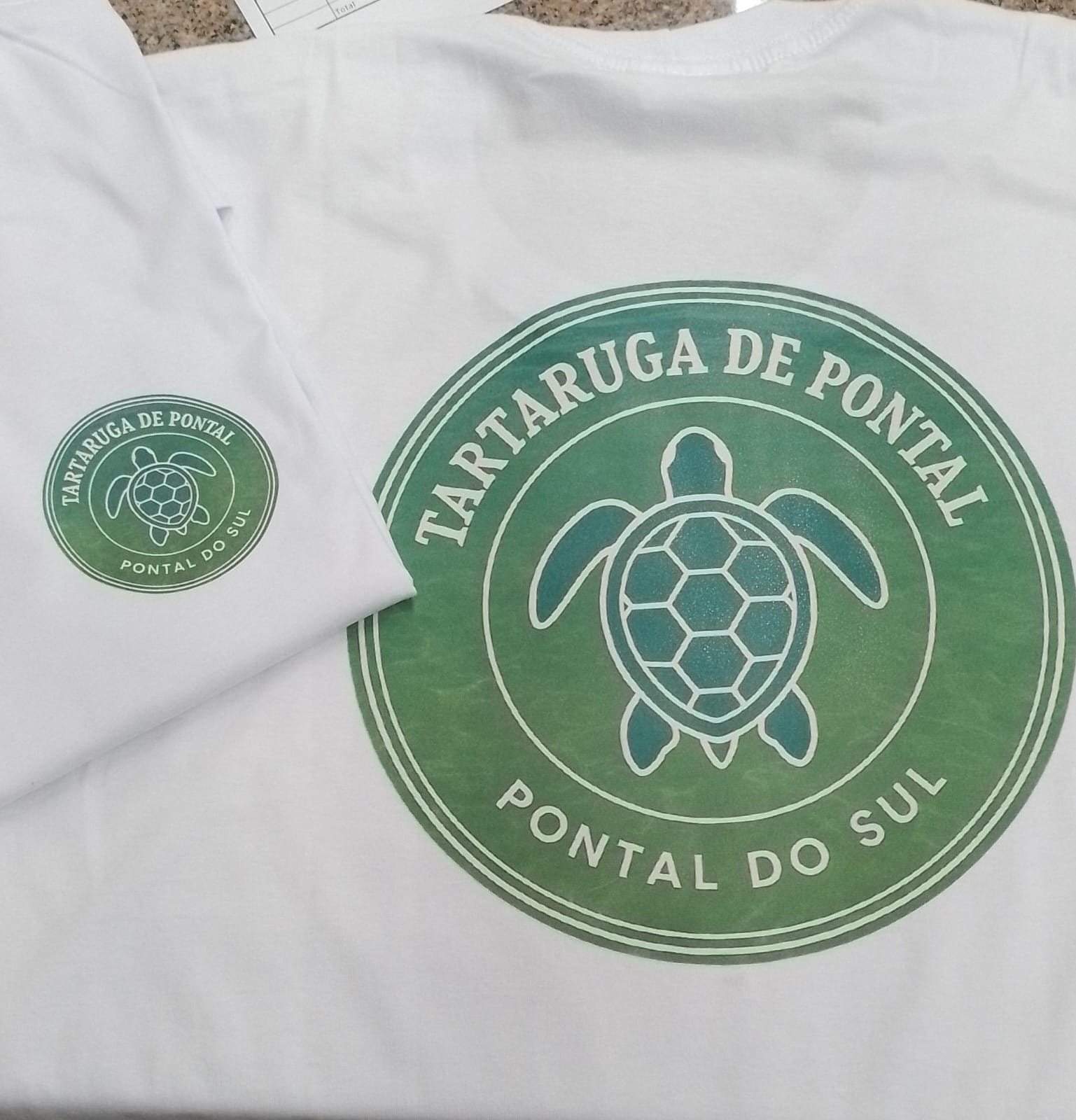 Tartaruga de Pontal  