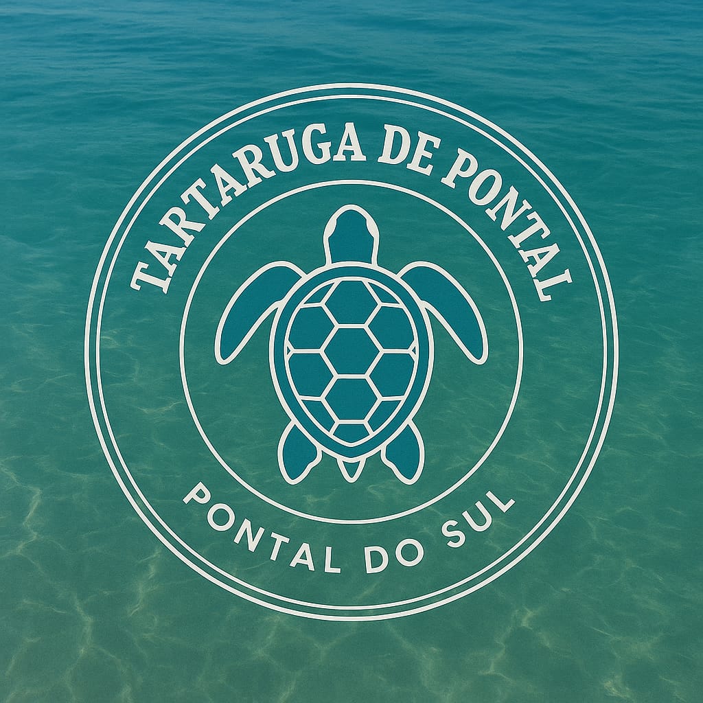 Tartaruga de Pontal