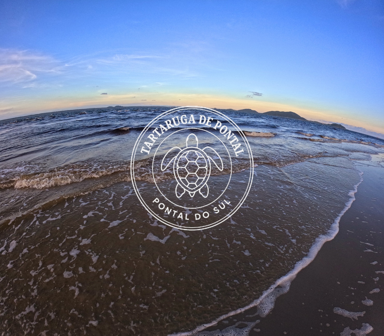 Bem-vindo ao Portal Tartaruga de Pontal 